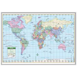 World Primary Mounted Map Mounted Only No Frame
