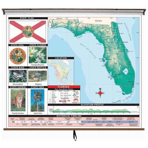 Florida Primary Thematic Wall Map