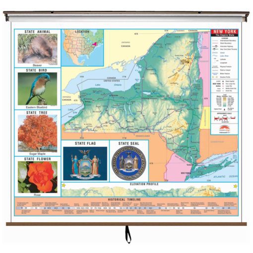 New York Primary Thematic Wall Map