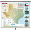Texas Primary Thematic Wall Map