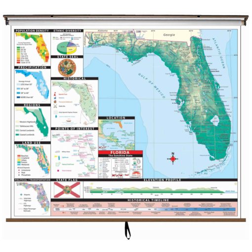 Florida Intermediate Thematic Wall Map