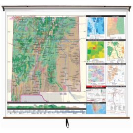 New Mexico Intermediate Thematic Wall Map