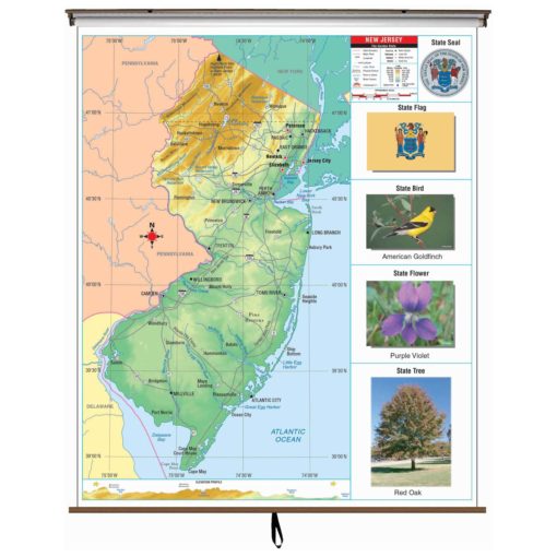New Jersey Primary Thematic Wall Map